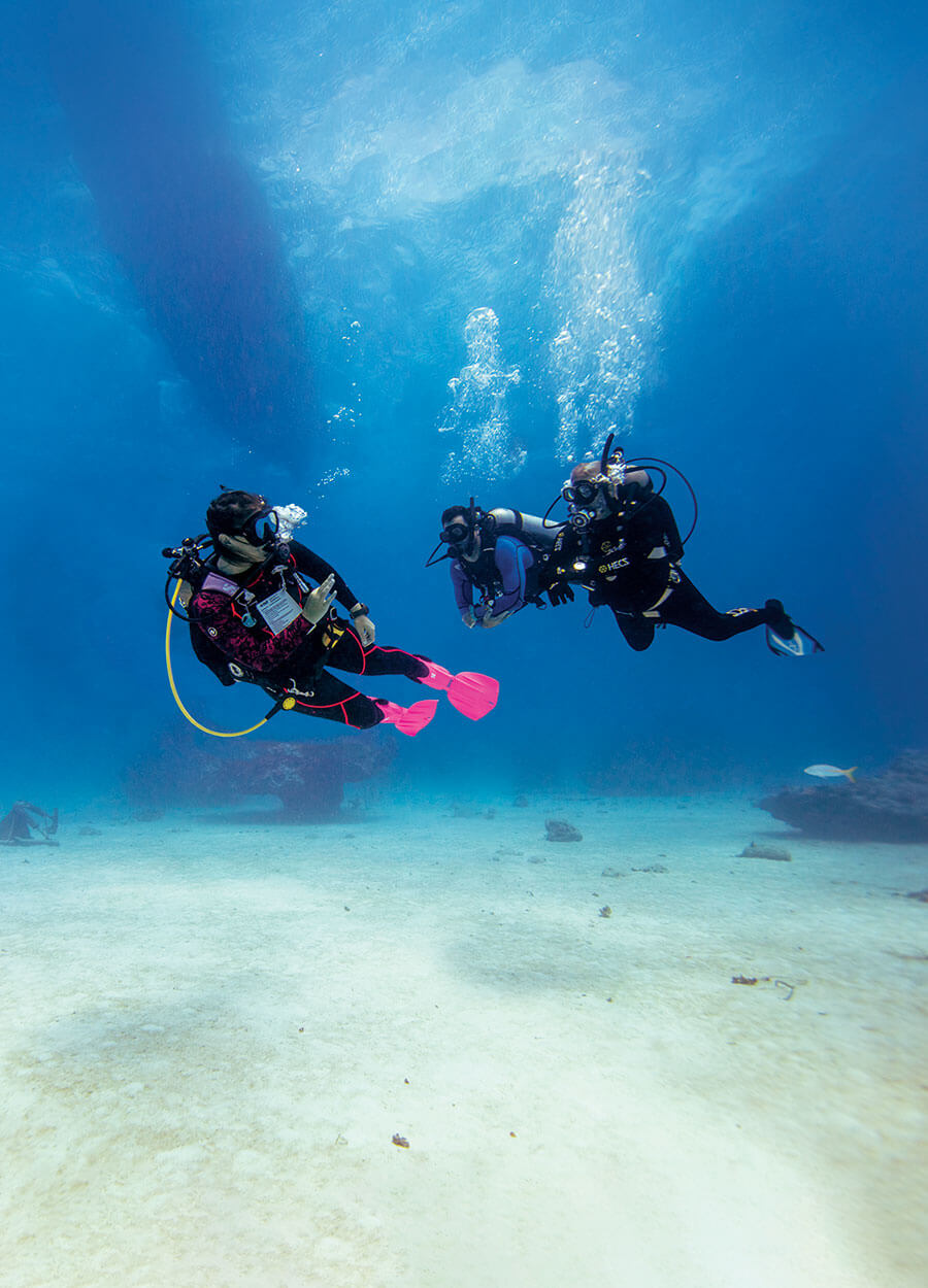 PADI Instructor Development Course  (IDC)