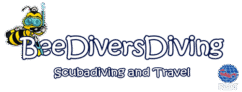 Bee Divers Diving