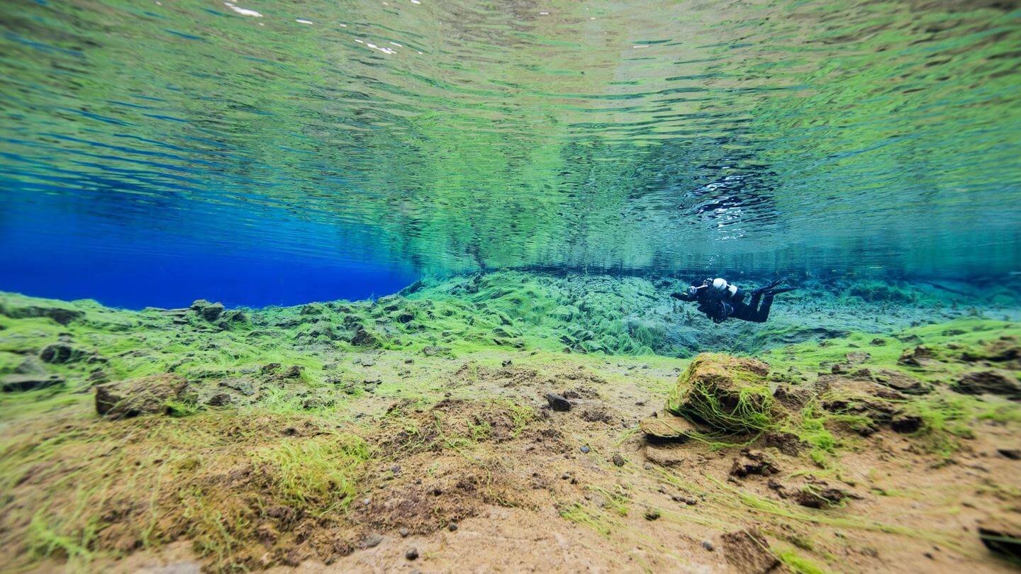 PADI Dry Suit Diver Specialty + Silfra Diving Experience Combo
