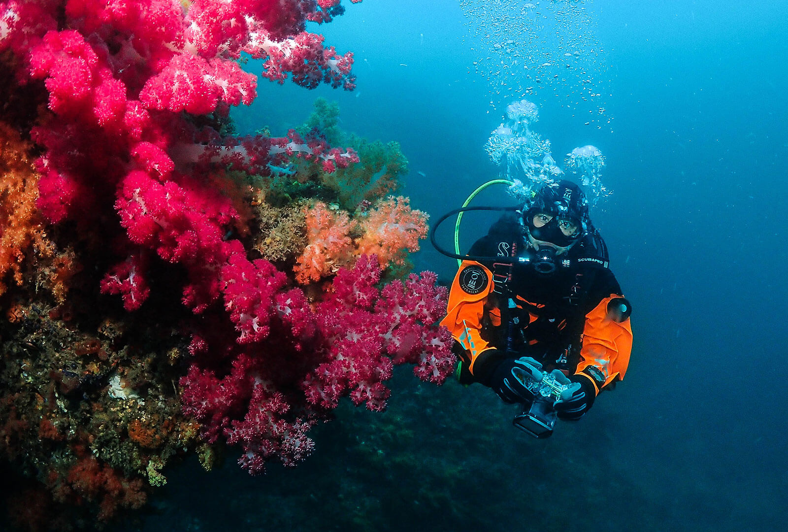 PADI Dry Suit Diver Specialty Course