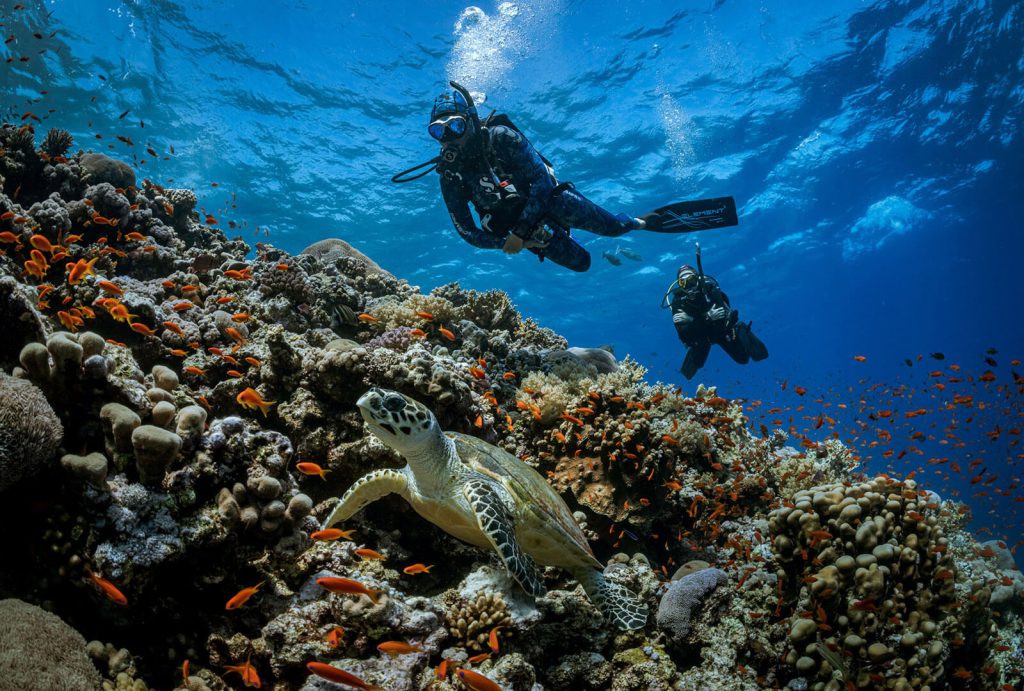 padi-master-scuba-diver