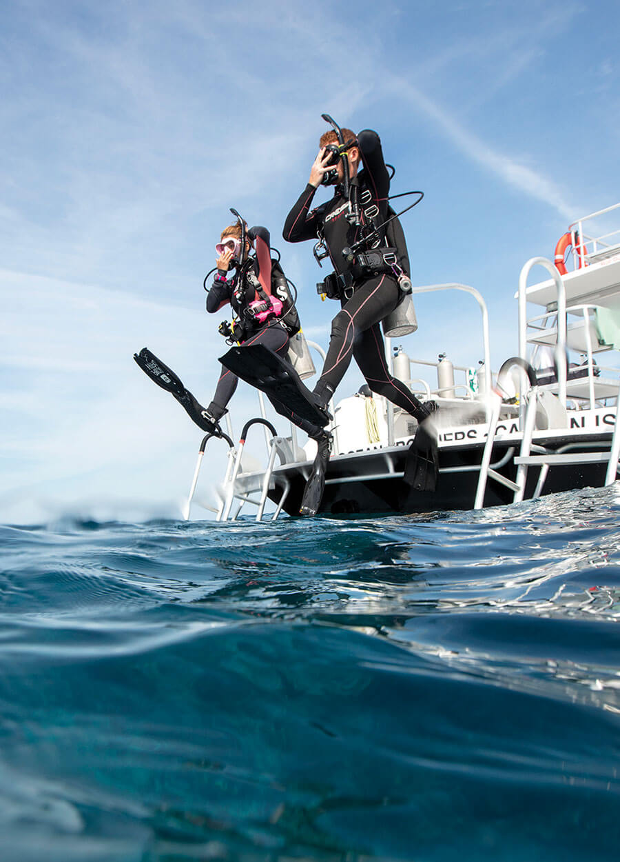 PADI ReActivate