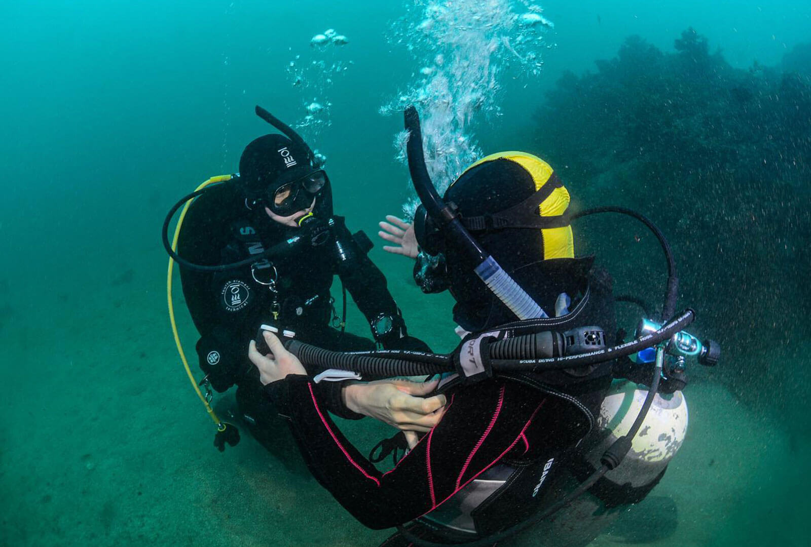 Padi Rescue Diver Course